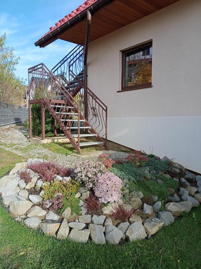Hortensjowy Zakatek W Pieninach Sromowce Wyzne Luaran gambar