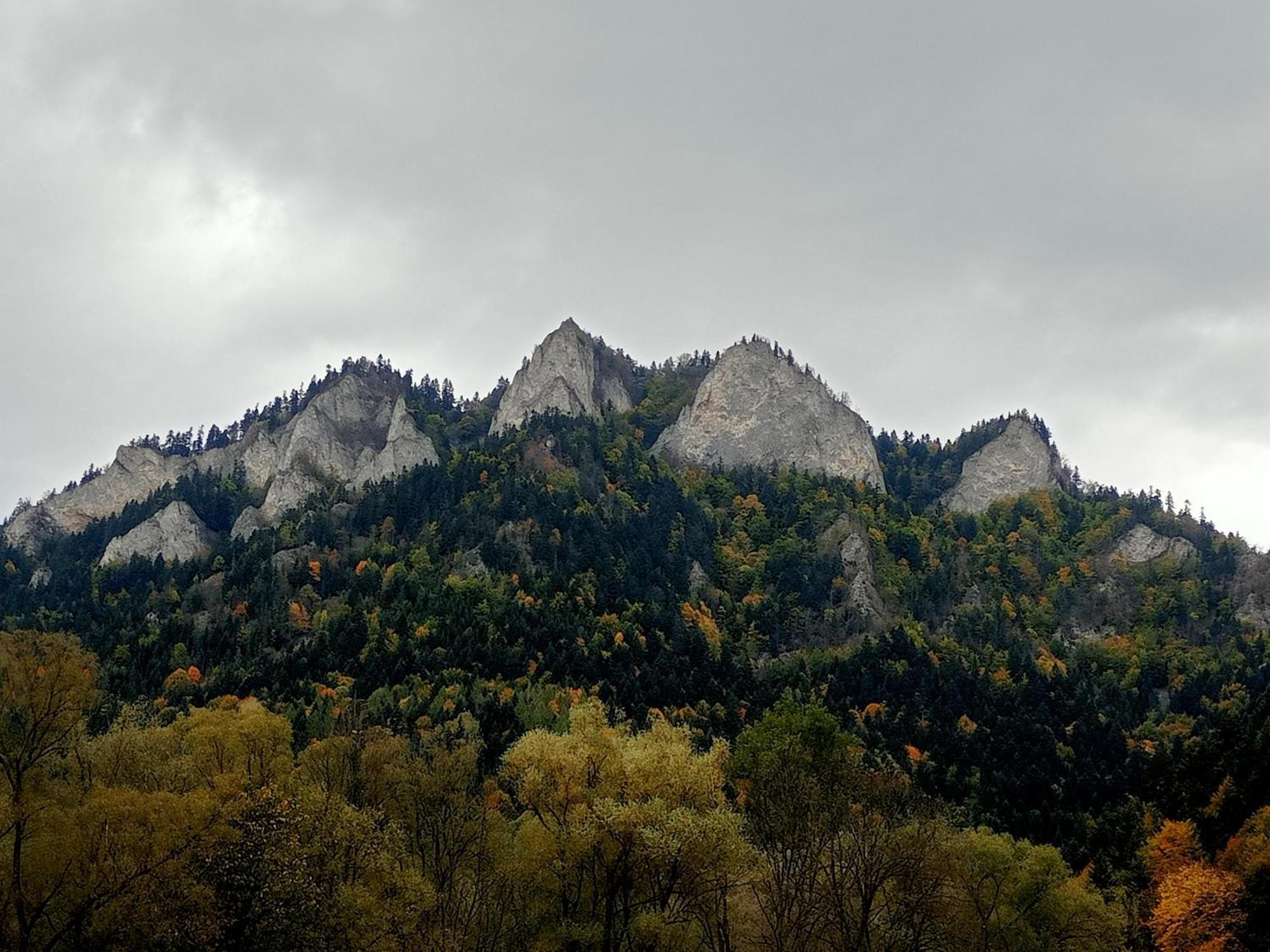 Hortensjowy Zakatek W Pieninach Sromowce Wyzne Luaran gambar